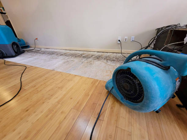 Professional Burst Pipe Water Damage technician working in Guilderland, NY